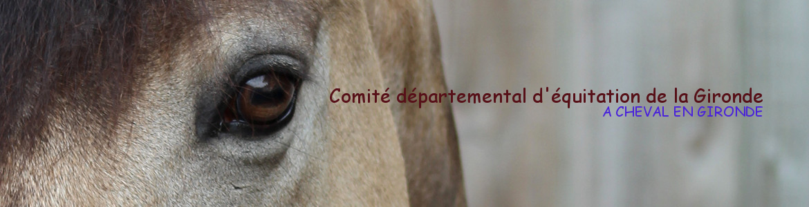 Comité départemental d'équitation de la Gironde